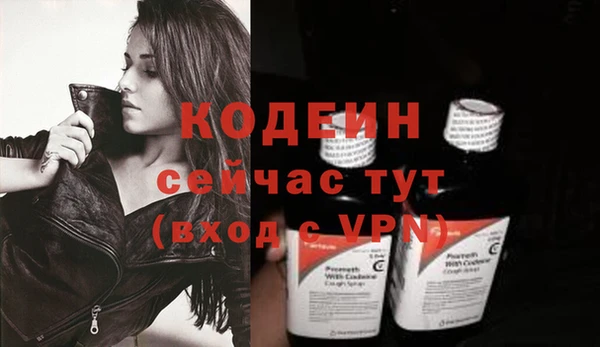 ешки Вяземский