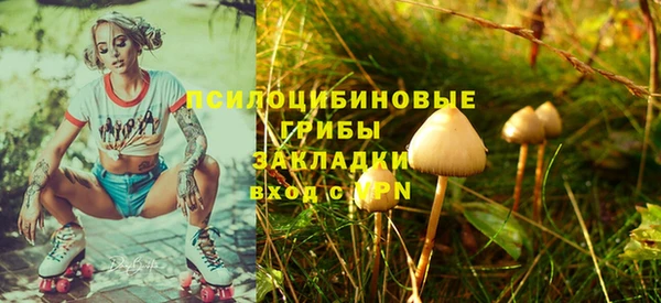 ешки Вяземский