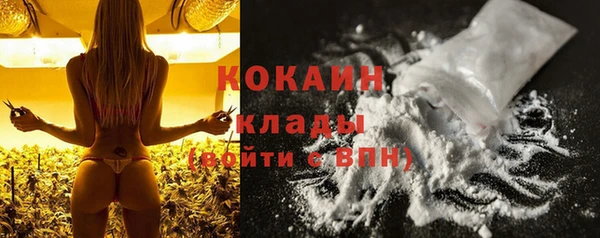 ешки Вяземский